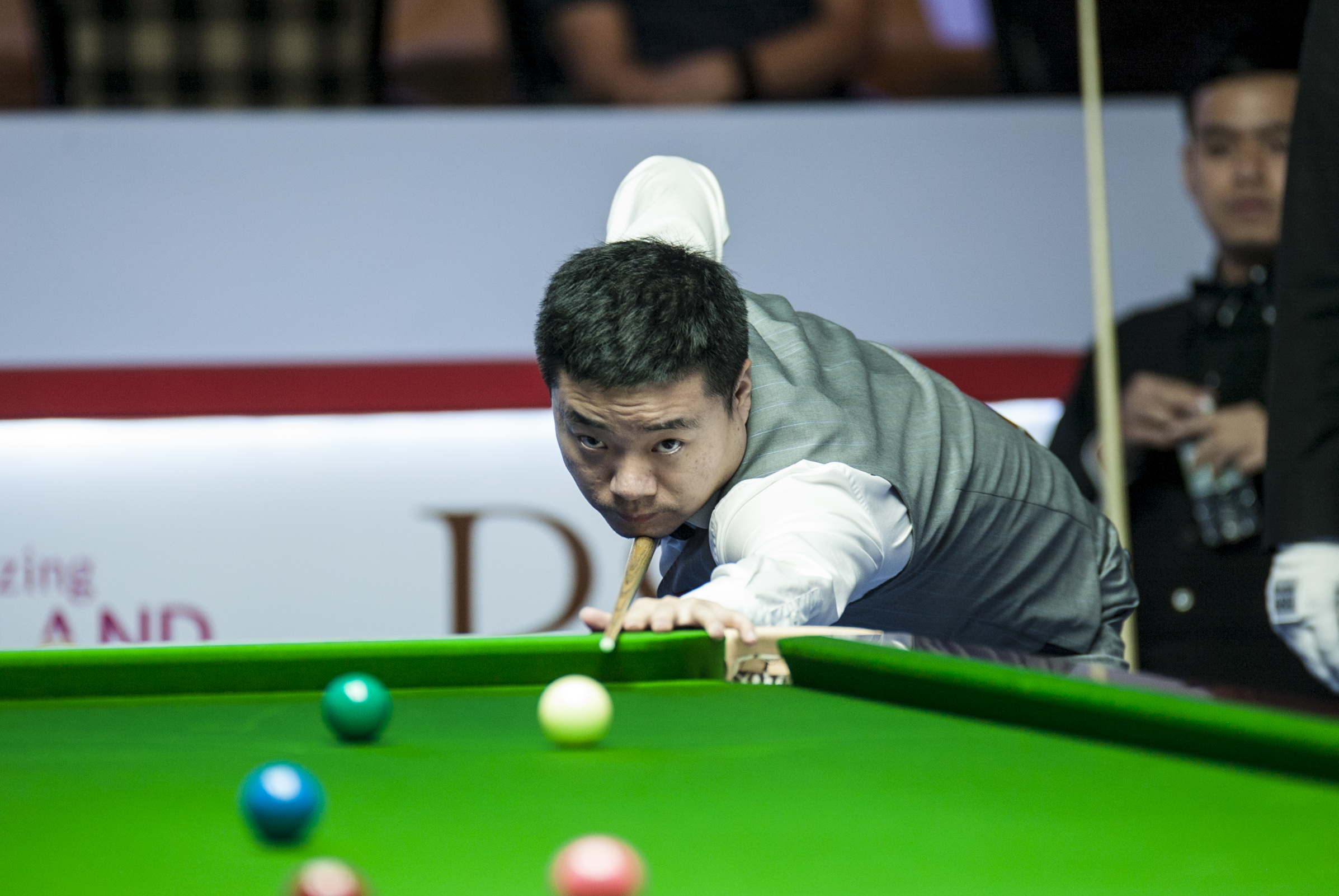 现已经屡见 现已经屡见