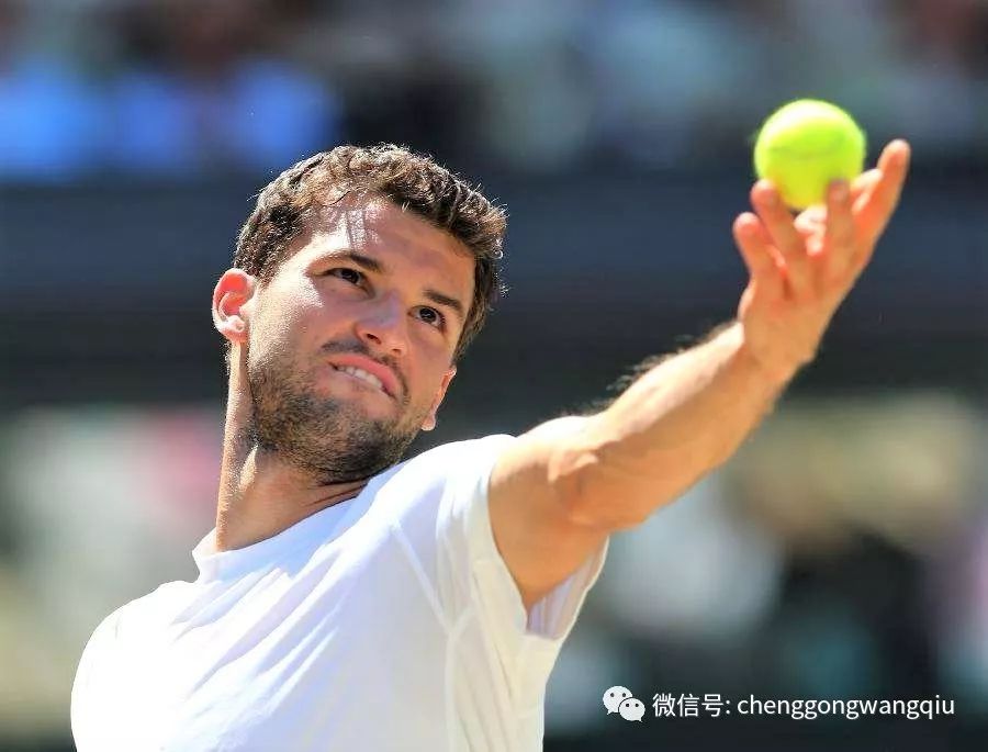 最终为枫叶 最终为枫叶