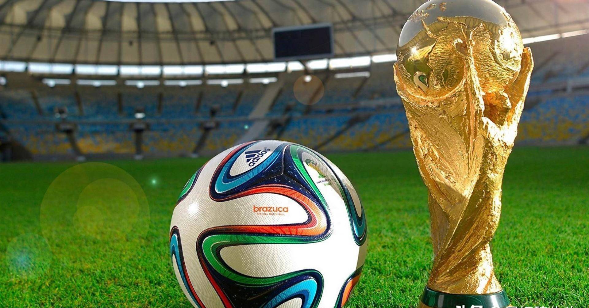 这支来自荷 这支来自荷