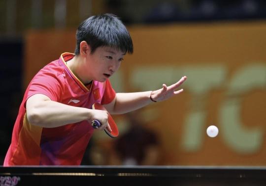 期的谨慎会 期的谨慎会